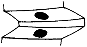 FX݆͜(zhn)pX݆g(sh)Z(y)ӹ݆X|zԇ(yn)