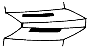 FX݆͜(zhn)pX݆g(sh)Z(y)ӹ݆X|zԇ(yn)